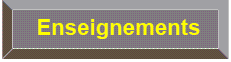Enseignements